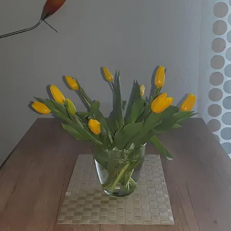 Apartment Ferienwohnung-nordsee